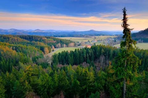 Bohemian forest