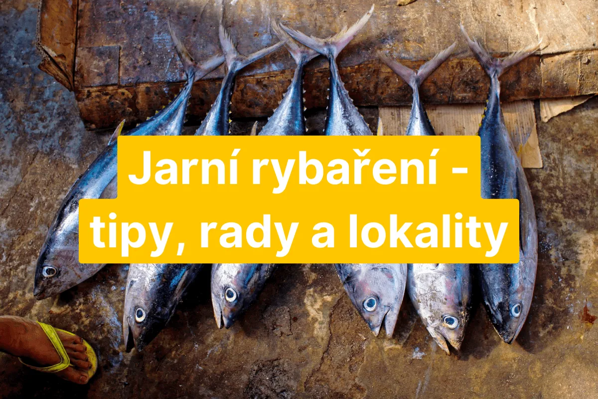 Jarn&iacute; rybařen&iacute; v ČR