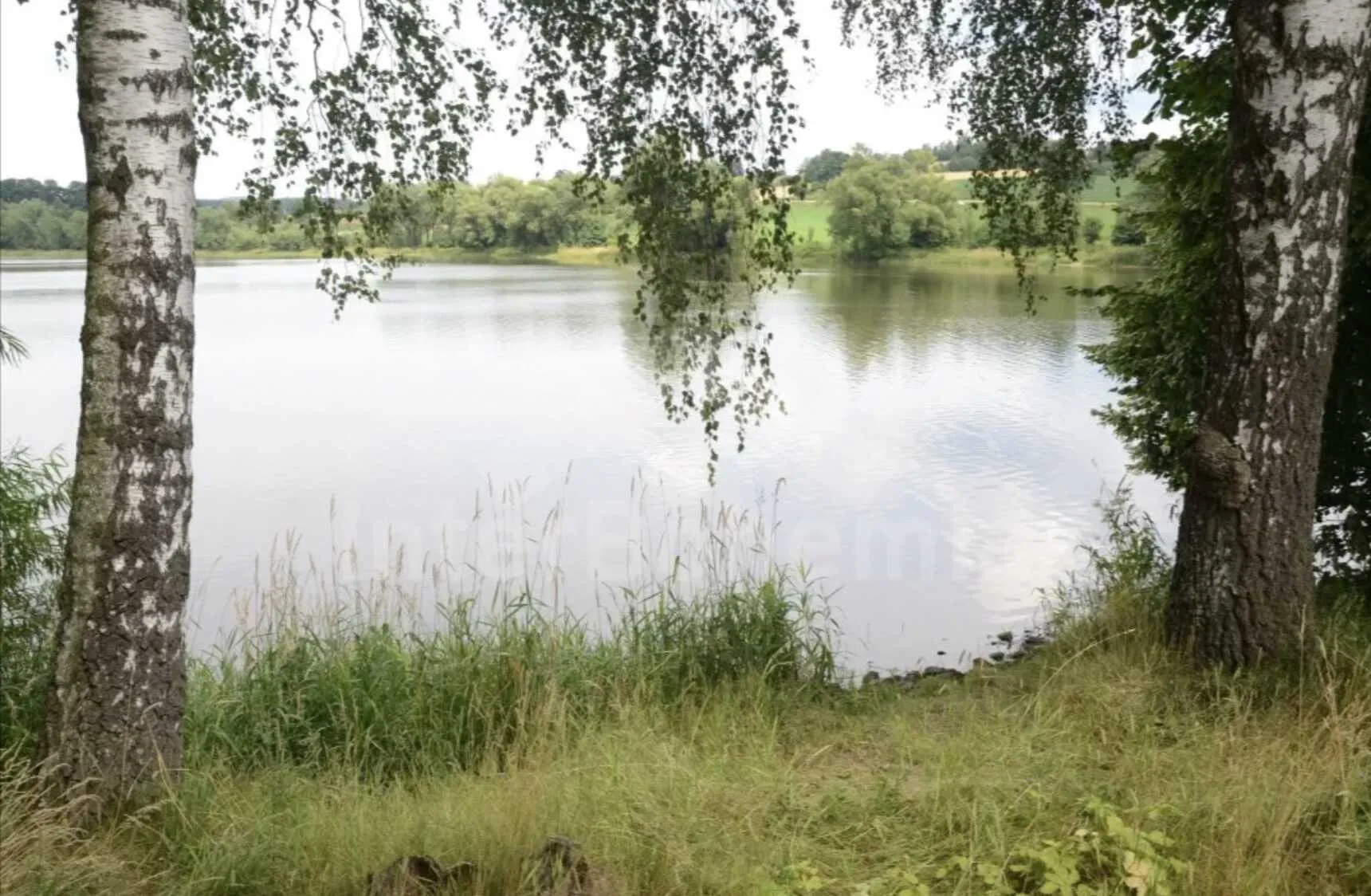 Rybařen&iacute; v Pos&aacute;zav&iacute;