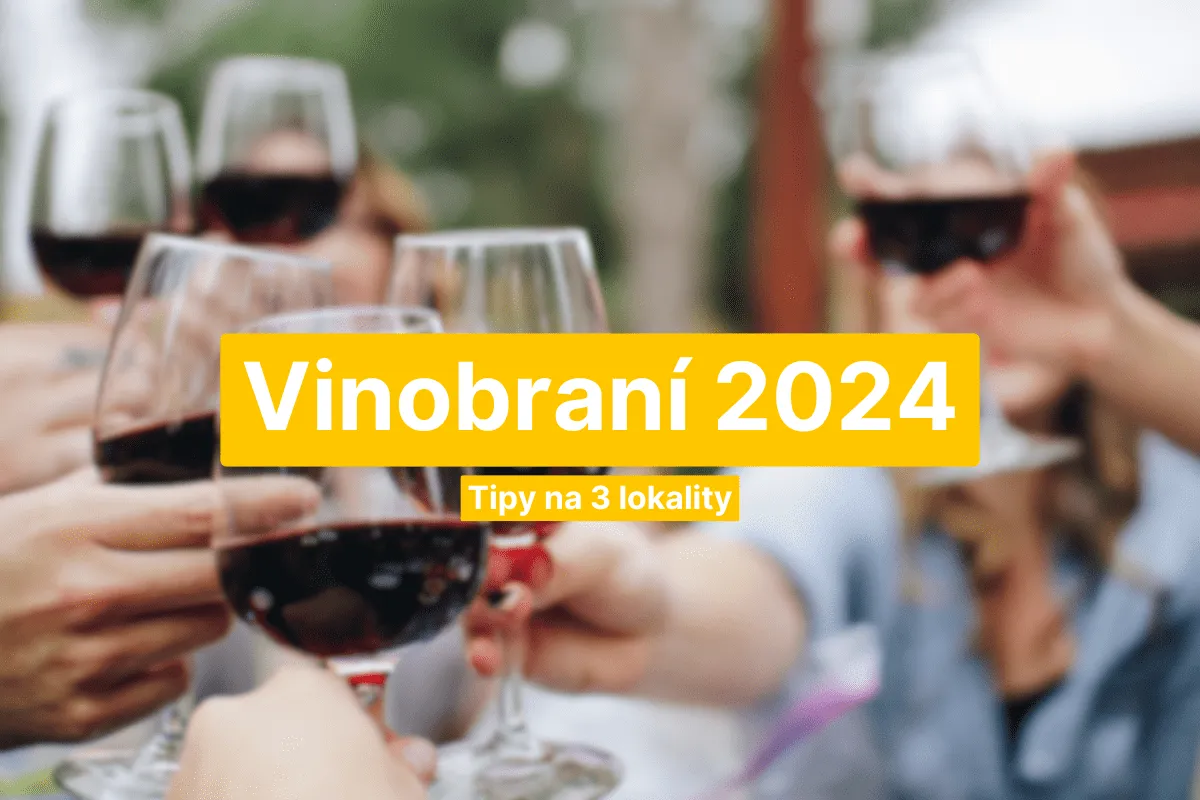 Kam na vinobraní 2024