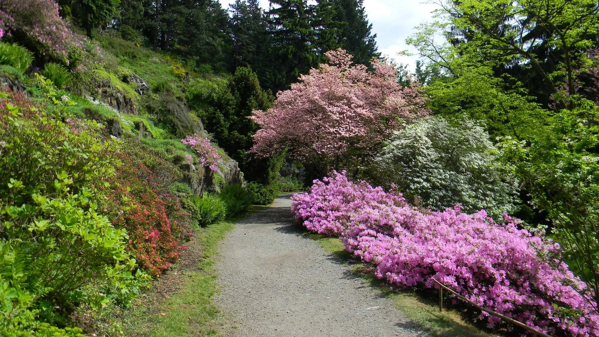 Průhonický park