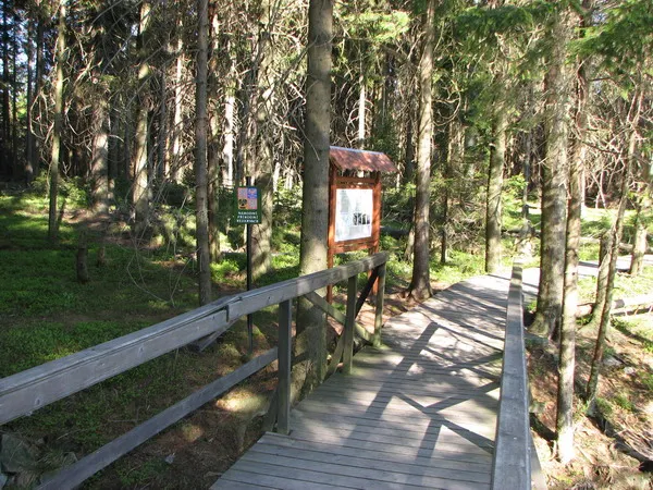 Naučn&aacute; stezka Kladsk&aacute;